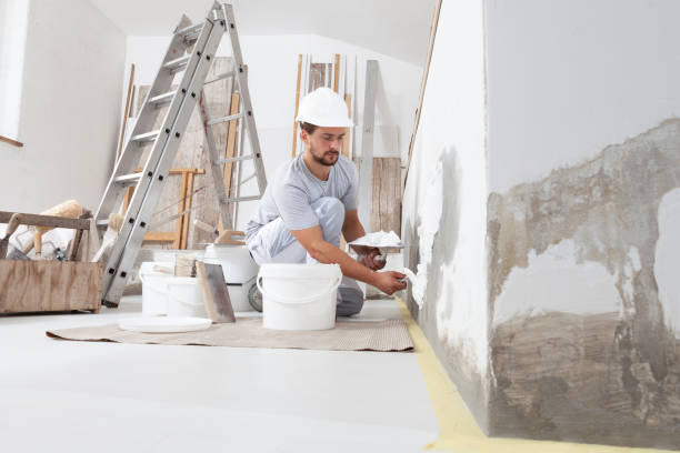 Trusted Cedar Crest, MA Mold Removal Experts