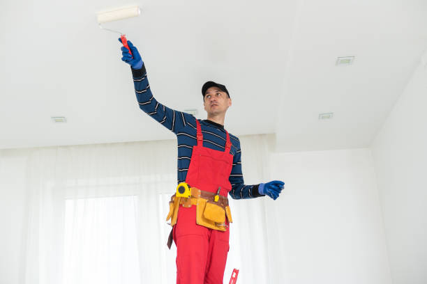 Best Comprehensive Air Testing for Mold Contaminants  in Cedar Crest, MA