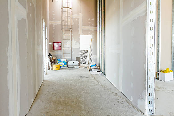 Best Environmental Consulting for Mold Prevention  in Cedar Crest, MA
